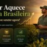 Dólar alto aquece a soja brasileira e antecipa negócios para novembro
