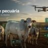 Drone Consegue Medir o Boi e Indicar o Melhor Momento para Venda ou Abate