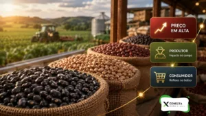 Feijão Sobe em Todas as Capitais e Vira Alerta para Produtor e Consumidor