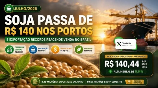Soja Passa de R$ 140 nos Portos e Exportação Recorde Reacende Venda no Brasil