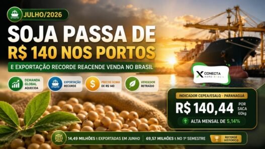 Soja Passa de R$ 140 nos Portos e Exportação Recorde Reacende Venda no Brasil