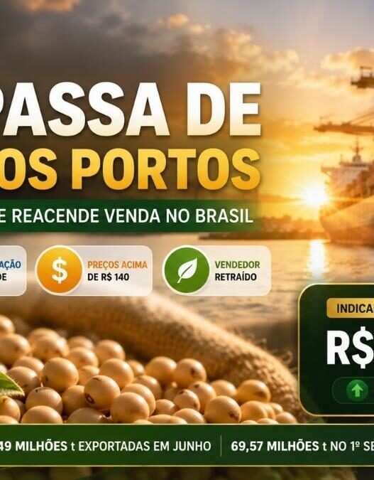 Soja Passa de R$ 140 nos Portos e Exportação Recorde Reacende Venda no Brasil