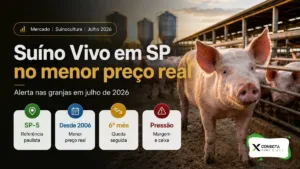 Suíno Vivo em São Paulo Cai ao Menor Preço Real em Quase 20 Anos