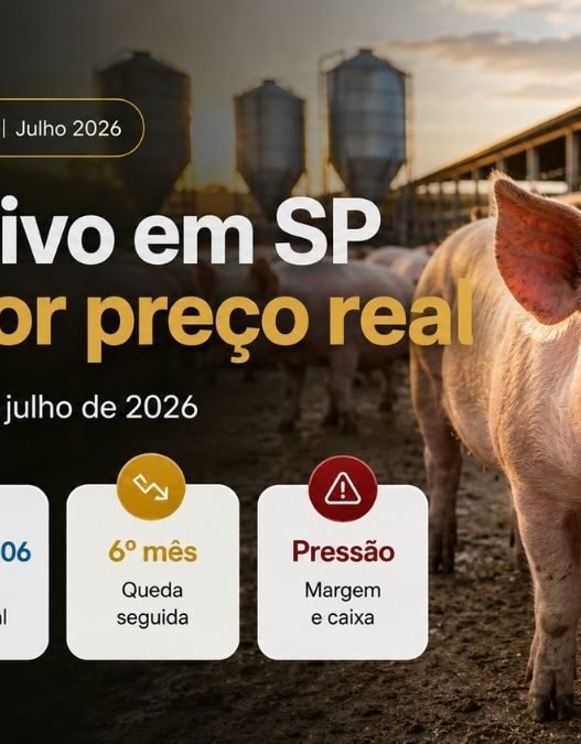 Suíno Vivo em São Paulo Cai ao Menor Preço Real em Quase 20 Anos