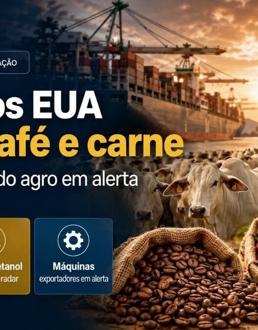 Tarifa dos EUA Poupa Café e Carne, Mas Deixa Parte do Agro em Alerta