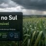 Trigo no Sul Entra em Fase Sensível e Chuva Aumenta Risco de Doenças Fúngicas