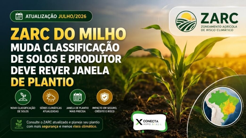Zarc do Milho Muda Classificação de Solos e Produtor Deve Rever Janela de Plantio