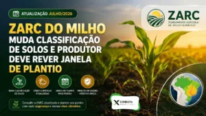 Zarc do Milho Muda Classificação de Solos e Produtor Deve Rever Janela de Plantio