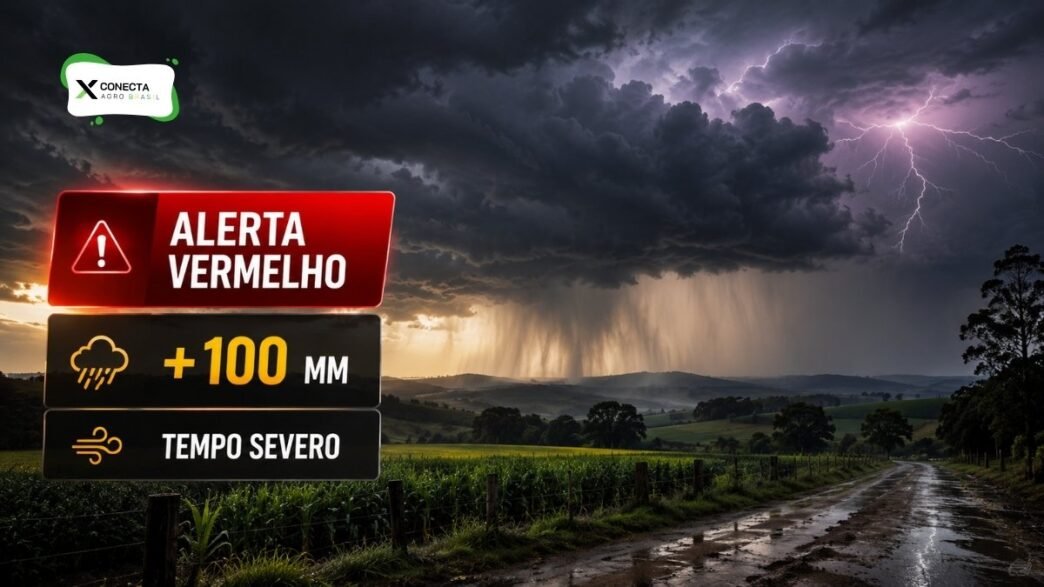 Alerta vermelho de chuva em Santa Catarina: volume pode passar de 100 mm