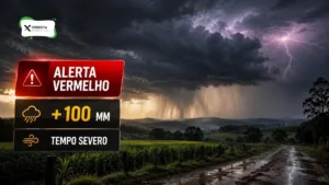 Alerta vermelho de chuva em Santa Catarina: volume pode passar de 100 mm