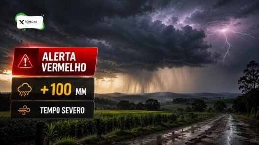 Alerta vermelho de chuva em Santa Catarina: volume pode passar de 100 mm