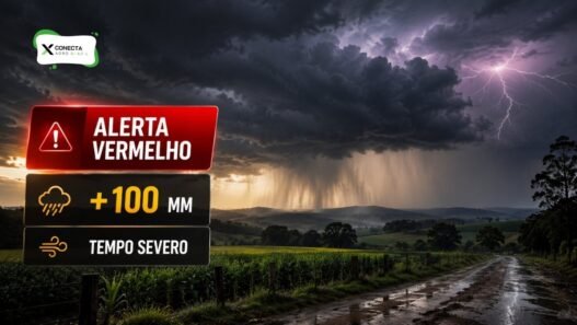 Alerta vermelho de chuva em Santa Catarina: volume pode passar de 100 mm