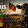 Qual estado é o berço do Angus no Brasil e por que a raça começou justamente ali?