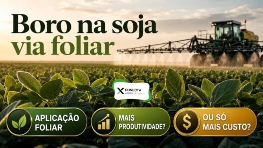 Boro na soja via foliar: aumenta produtividade ou só aumenta o custo?