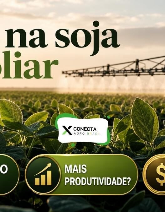 Boro na soja via foliar: aumenta produtividade ou só aumenta o custo?