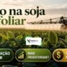 Boro na soja via foliar: aumenta produtividade ou só aumenta o custo?