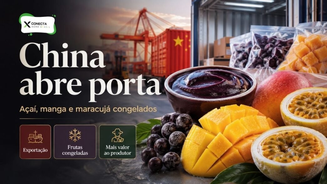 China Abre Porta para Açaí, Manga e Maracujá Congelados do Brasil