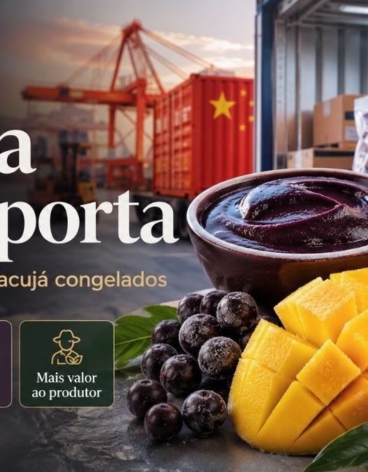 China Abre Porta para Açaí, Manga e Maracujá Congelados do Brasil