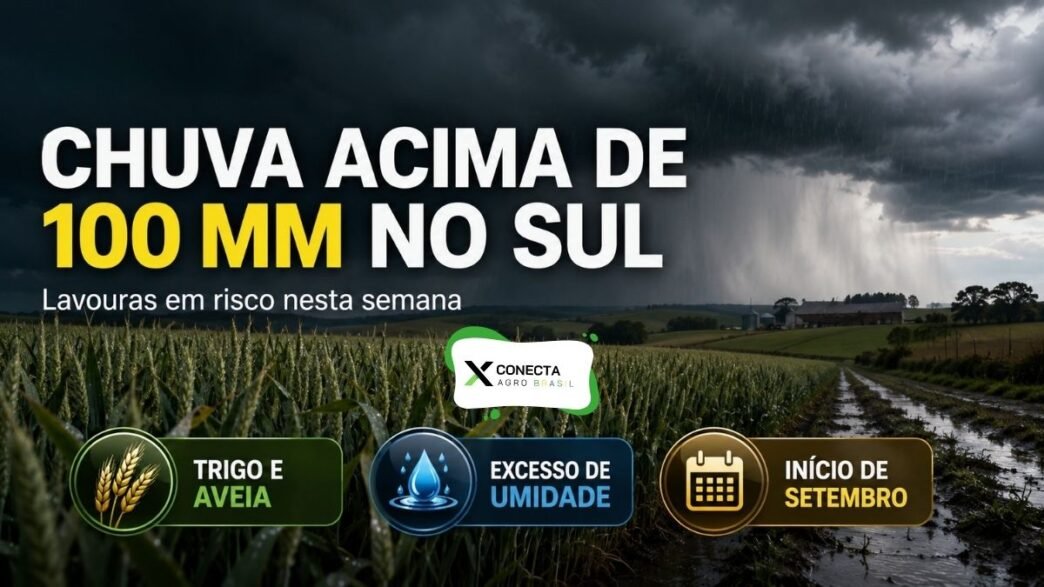 Chuva acima de 100 mm no Sul em setembro de 2026