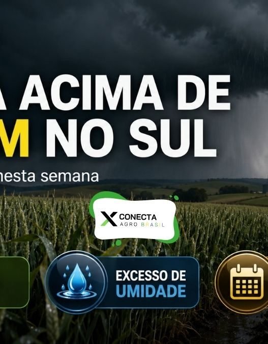 Chuva acima de 100 mm no Sul em setembro de 2026