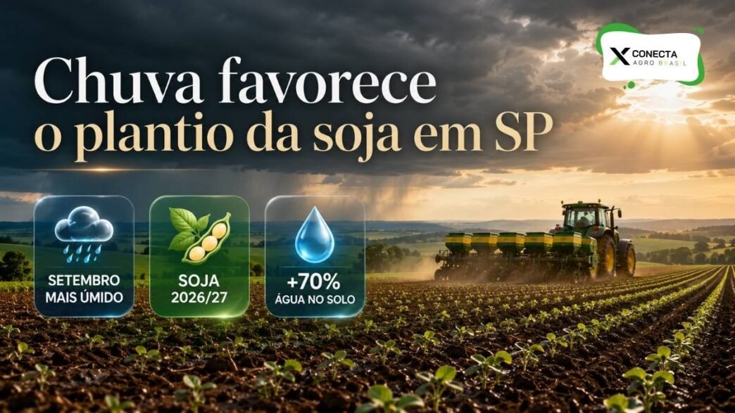 Setembro começa com chuva acima da média e pode favorecer o plantio da soja em São Paulo