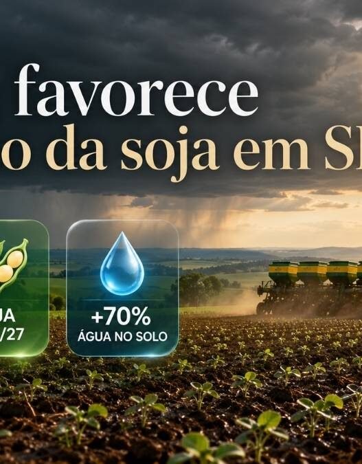 Setembro começa com chuva acima da média e pode favorecer o plantio da soja em São Paulo