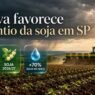 Setembro começa com chuva acima da média e pode favorecer o plantio da soja em São Paulo