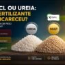 Preço dos fertilizantes em 2026: MAP, KCl ou ureia, qual mais encareceu e onde pesa mais?