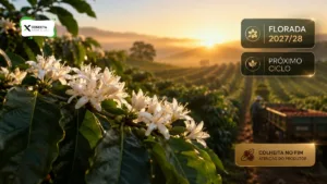 Florada do café para a safra 2027/28: o que pode decidir o próximo ciclo