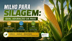 Milho para Silagem: Qual Adubação Dá Mais Toneladas, Mais Leite e Mais Arrobas por Hectare?