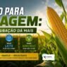 Milho para Silagem: Qual Adubação Dá Mais Toneladas, Mais Leite e Mais Arrobas por Hectare?