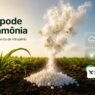 Ureia pode virar amônia e escapar para o ar: como reduzir a perda de nitrogênio no campo?