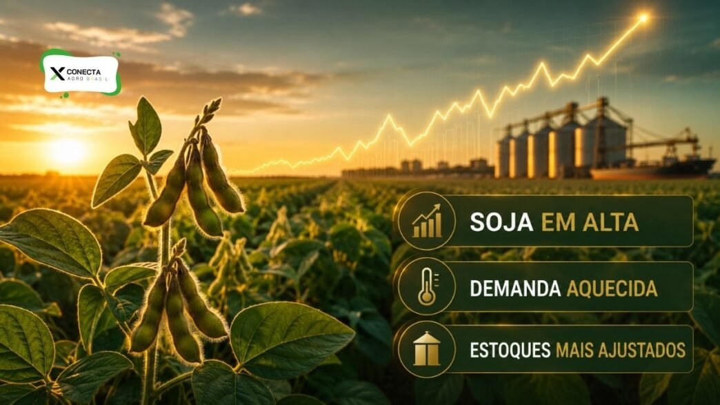 Soja ganha força com demanda aquecida e estoques mais apertados: preço pode subir mais?