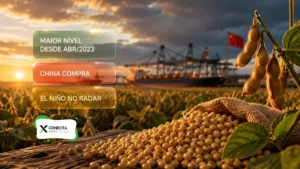 Preço da soja no maior patamar desde abril de 2023