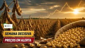 Soja entra em semana decisiva: o que pode acontecer com os preços da soja nos próximos dias