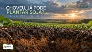 Umidade do solo para plantio da soja: choveu, já pode plantar?
