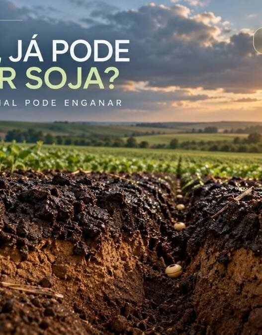 Umidade do solo para plantio da soja: choveu, já pode plantar?
