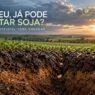 Umidade do solo para plantio da soja: choveu, já pode plantar?