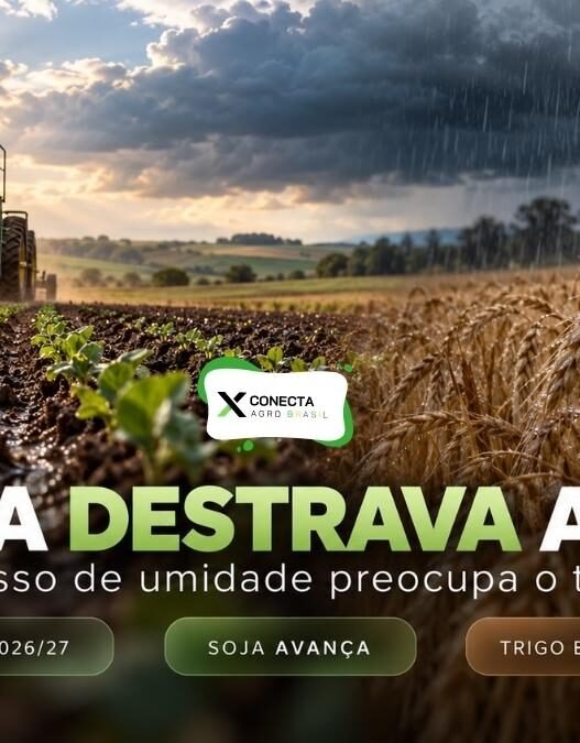 Plantio da soja 2026/27 avança com as chuvas