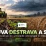 Plantio da soja 2026/27 avança com as chuvas