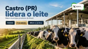 Qual cidade produz mais leite no Brasil? A campeã fica no Paraná