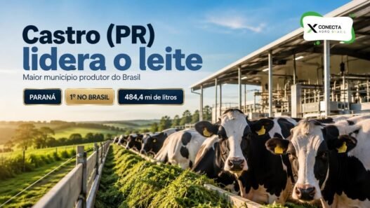 Qual cidade produz mais leite no Brasil? A campeã fica no Paraná