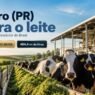 Qual cidade produz mais leite no Brasil? A campeã fica no Paraná