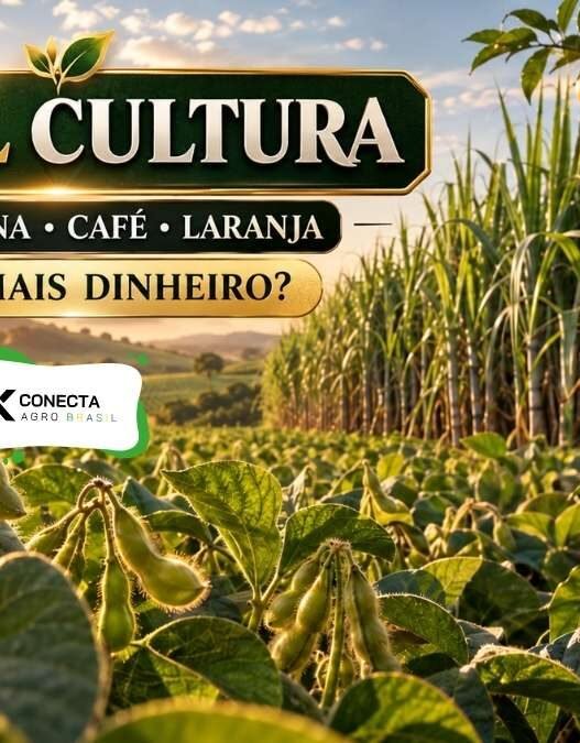 Qual cultura gera mais dinheiro no campo brasileiro: soja, cana, café ou laranja?