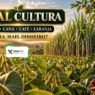 Qual cultura gera mais dinheiro no campo brasileiro: soja, cana, café ou laranja?