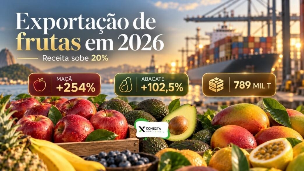 Exportação de frutas cresce 20% em receita e maçã dispara 254% em 2026