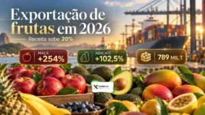 Exportação de frutas cresce 20% em receita e maçã dispara 254% em 2026