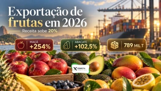Exportação de frutas cresce 20% em receita e maçã dispara 254% em 2026