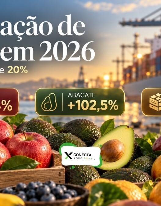 Exportação de frutas cresce 20% em receita e maçã dispara 254% em 2026