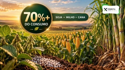 Consumo de fertilizantes por soja, milho e cana no Brasil passa de 70%: por que três culturas concentram tanto adubo?